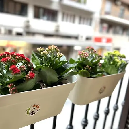 Tiny House In Centro Lägenhet *